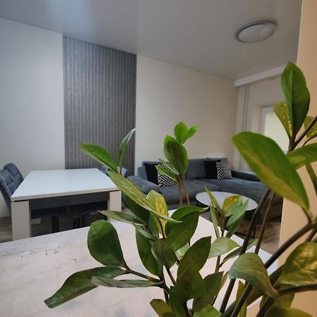 V15 Apartment Druskininkai Exterior photo